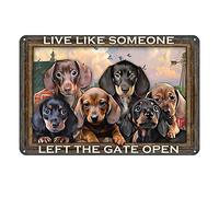 Aenaon Live Like Someone Left The Gate Open Style Retro Metal Tin Sign Wall Decor Coffee Barthroom Garage Bar Room Decor Retro Style s Metal Signs 20,3 x 30,5 cm
