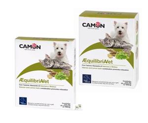 AEQUILIBRIA VET 30CPR