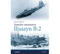 Aereo d'assalto Ilyushin Il-2 - Wojciech the Imaginary