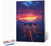 Aereo Dipingere Con I Numeri Adulti Cielo Quadri Da Dipingere Numerati, Hobby Creativi Adulti Principianti DIY Paint By Numbers Kits Con Vernici E Pennelli, Regalo 40x50 cm Senza Cornice -LKF0776RW