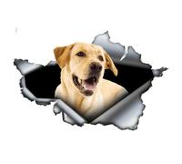 AeRko Simpatico Labrador Retriever giallo 3D adesivo in vinile decalcomania decorativa per paraurti bagagliaio (dimensioni: 35 cm)