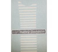 AERMACCHI AMF HARLEY - DAVIDSON 350 SS AMERICA DECALCOMANIE SERBATOIO