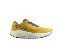 Salomon Scarpe Da Running Aero Blaze 3 Grvl