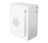 AEROCOOL ADVANCED TECHNOLOGIES Aerocool CS110 Mini Tower PC ACCS-PC18014.21