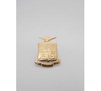 Aeronautica Militare Italiana : Spilla da giacca in Oro Giallo 18 Kt - Stemma