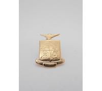 Aeronautica Militare Italiana : Spilla da giacca in Oro Giallo 18 Kt - Stemma