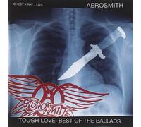 Aerosmith ICON (CD)