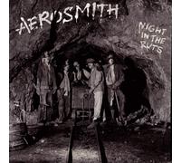 Aerosmith - Night In The Ruts
