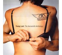 Aerosmith Young Lust: The Aerosmith Anthology (CD) Album