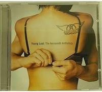 Aerosmith - Young Lust:the Anthology