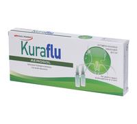 Kuraflu aerosol 10 fiale monodose