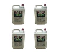 AERREGI 4X5LT BIOETANOLO COMBUSTIBILE Liquido Ecologico Naturale INODORE Camino