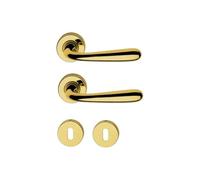 AERREGI Coppia Maniglie per Porta Interna con Bocchette Patent | Modello Goccia in Oro Lucido | Design Ergonomico ed Elegante