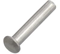 AERZETIX - C62030 - Set di 10 rivetti in alluminio Ø4x20mm a testa semitonda bombata - rivetto pieno/da colpire - DIN 660 - colore argento - assemblaggio non smontabile lamiera pelle rivettatrice