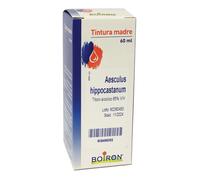 Aesculus Hippocastanum Tintura Madre 60 Ml