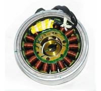 AEspares Gruppo Magneto Con Statore Albero Motore 3 Fasi 147509