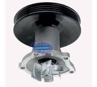 AEspares Gruppo pompa acqua compatibile con Chevrolet Beat Petrol
