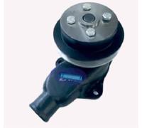 AEspares Gruppo pompa acqua compatibile con Kirloskar Generator TV2 raffreddato ad acqua motore S4009930 / L99DE00866 / S4099237