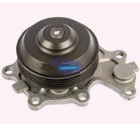 AEspares Gruppo pompa acqua compatibile con Mahindra Maxximo vecchio modello 31DAU00111N