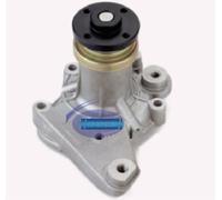 AEspares Gruppo pompa acqua compatibile con Maruti 800 / Van/Auto 17400 M7811 / 78100/73012