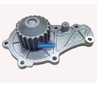 AEspares Gruppo pompa acqua con ingranaggio a 21 denti compatibile con Ford Fiesta Diesel