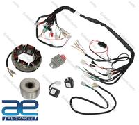 AEspares Kit Conversione Alternatore Elettronico Bullet da 6V a 12V, Set 7 Pezzi