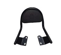 AEspares Schienale posteriore con cuscinetto nero compatibile con Royal Enfield Hunter 350cc