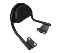 AEspares Schienale posteriore con cuscinetto nero compatibile con Royal Enfield Hunter 350cc