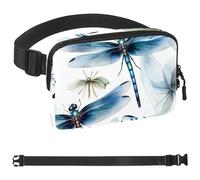 Aesthetic Dragonfly-2047 - Marsupio a tracolla per uomo e donna, borsa da cintura per viaggi, casual, passeggiate, corsa, escursionismo, ciclismo, Multicolore 04, 1.5x9.0x5.9in/4x23x15cm