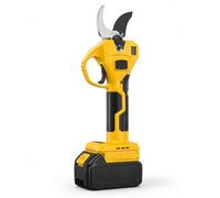 AETEREOS Cesoie Elettriche Professionali, Diametro di Taglio 40 Mm, con Asta di Prolunga da 2.5 M, Display LCD, per Potare Alberi, Arbusti E Alberi da Frutto 1-Bat