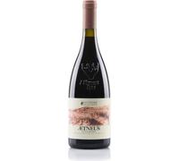 Aetneus Etna rosso DOC 2019 - I Custodi delle Vigne dell'Etna