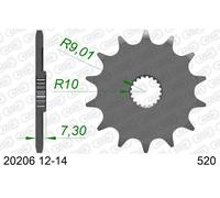 Afam Pignone 20206 – Standard in acciaio – Passo 520