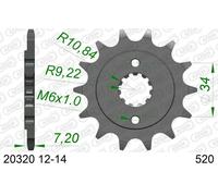 AFAM Pignone standard in acciaio 20320 - 520