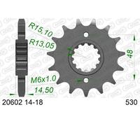AFAM Pignone standard in acciaio 20602 - 530