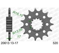 AFAM Pignone standard in acciaio 20613 - 520