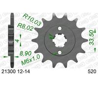 Afam Pignone catena 21300-13 Acciaio standard Passo 520