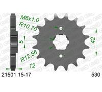 AFAM 21501-16 Pignone catena