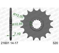 Kawasaki Pignone AFAM 21601-16 Passo 520 per ZX-6R ZX636 Edizione Speciale ABS 636