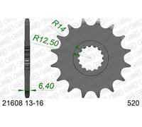 AFAM 21608-14 Pignone catena