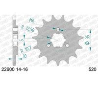 AFAM Pignone standard in acciaio 22600 - 520