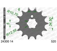 AFAM 24300-14 Pignone catena