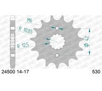 AFAM 24500-17 Pignone catena