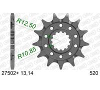 AFAM 27502+13 Pignone catena