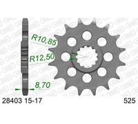 AFAM Pignone standard in acciaio 28403 - 525