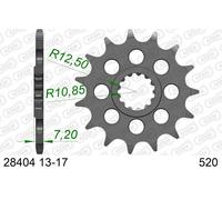 AFAM Pignone standard in acciaio 28404 - 520