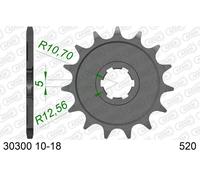 AFAM Pignone standard in acciaio 30300 - 520