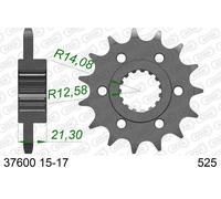 AFAM Pignone standard in acciaio 37600 - 525