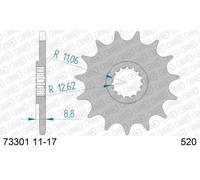 Afam Pignone standard in acciaio 73301 – Passo 520