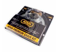 AFAM COD.1077555/1 KIT TRASMISSIONE PER HONDA ADV750 PIG.Z17 COR.Z39 CATENA520