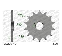 Afam Pignone 20206 – Standard in acciaio – Passo 520